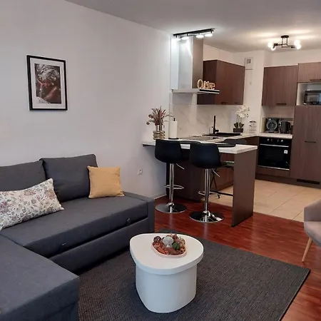 2 Pieces Cosy Avec Parking Prive * Στρασβούργο