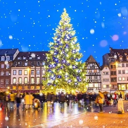 Apartment 2 Pieces Cosy Avec Parking Prive Strasbourg